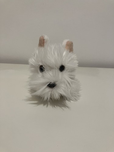 West highland terrier - dog, soft
