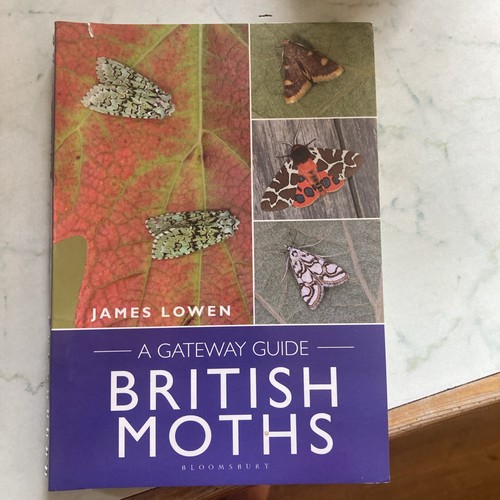 Gateway guide british moths - to,