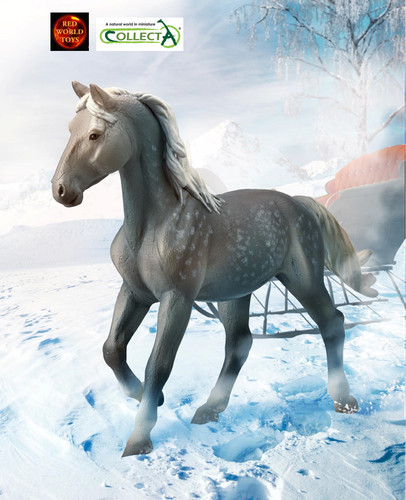 Oryol orlov trotter - oryol, grey