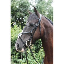 MEXICAN GRACKLE BRIDLE, BROWN