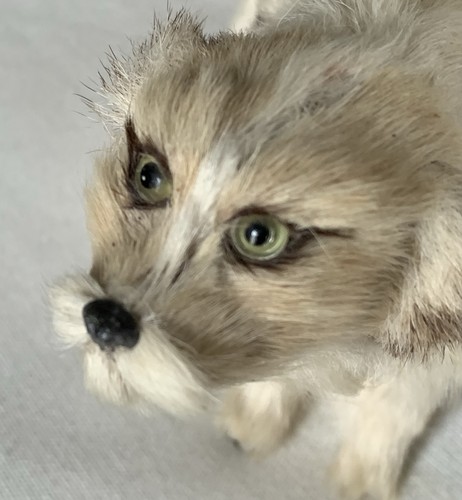 Antique fur over - fur, (over