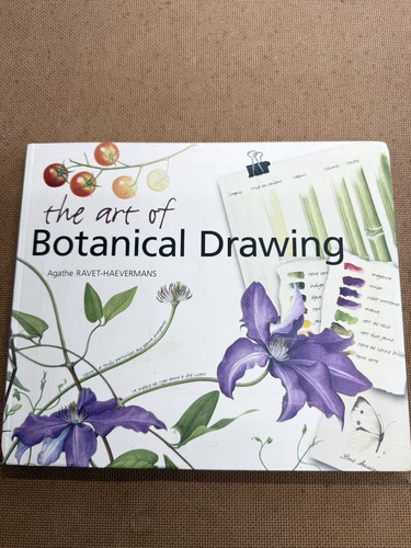 Art botanical drawing an - art,