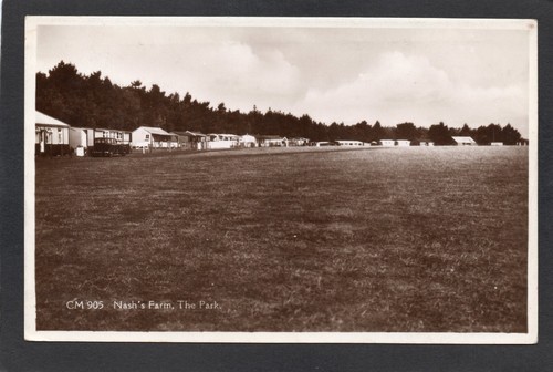 Postcard new milton - new, forest