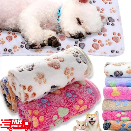 Soft fluffy pet - fluffy, warm