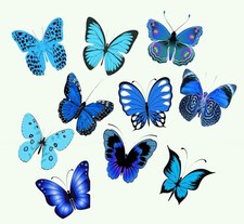 30 x 5CMS STUNNING BLUE