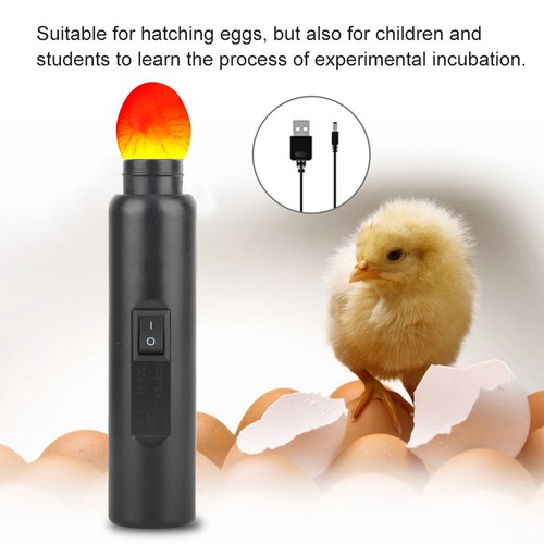 Led light egg - egg, tester