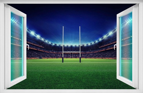 Rugby stadium wall art - rugby,