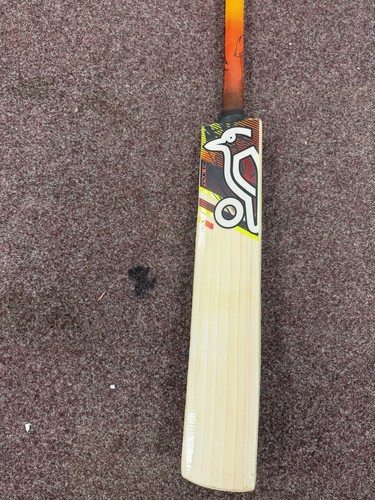 Kookaburra beast cricket - kookaburra,