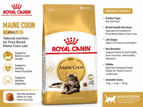 Royal canin maine - canin, adult
