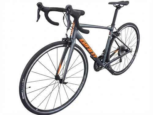 Giant contend small - 1,