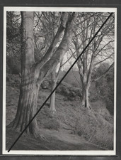Landscape PHOTOGRAPH 16.5 x