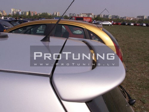 Rear roof door - rear,