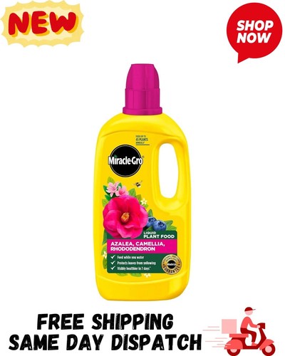 Miracle gro 121180 azelia - miracle-gro,