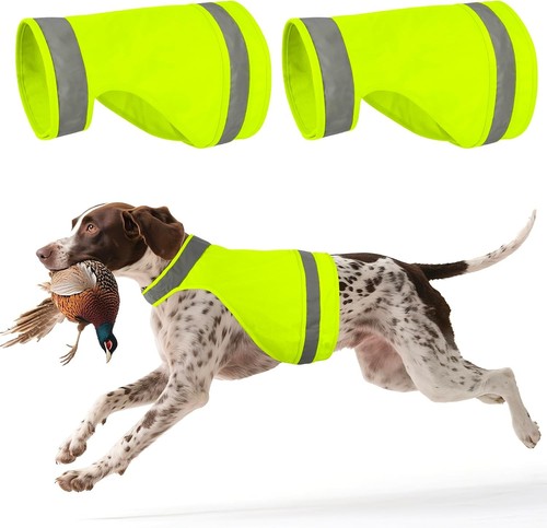 Dqghqme pack blaze green dog - blaze,