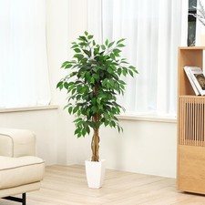 Artificial Ficus Plant - in White Pot 120cm (1Pack) For Auction-