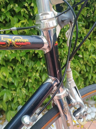 1983 vintage daccordi 50th - vintage,