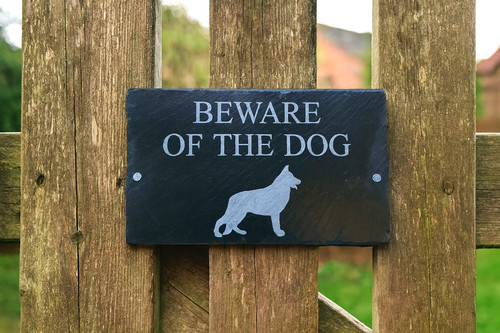 Beware the dog - beware,