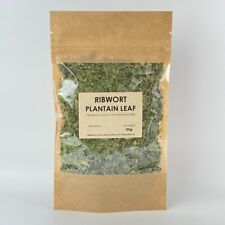 Ribwort Plantain Leaf | Plantago lanceolata | dried leaves herb herbal tea babka
