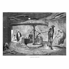 EGYPT A Corn Mill in Lower Egypt - Antique Print 1884