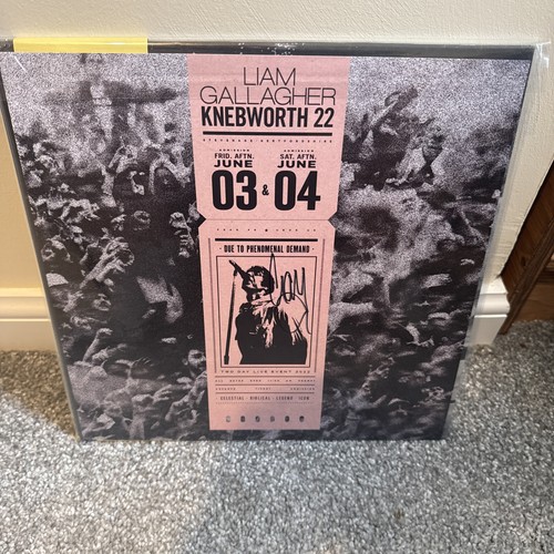 Liam gallagher knebworth - knebworth, 22