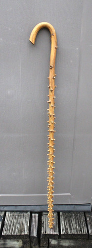 Vintage cane swagger knobby - vintage,