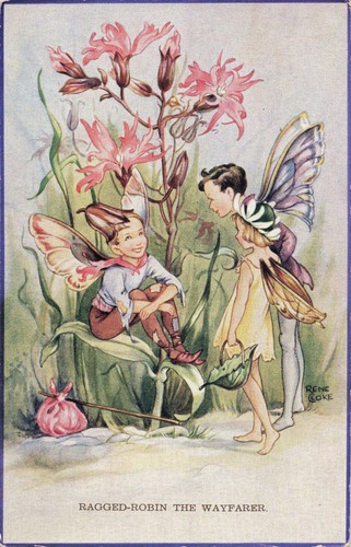 Rene cloke fairies - cloke,