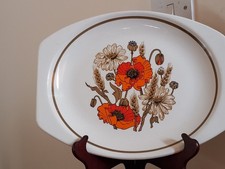 J&G Meakin Ironstone  " Poppy"