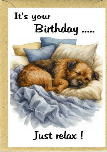 Border terrier dog - terrier, birthday