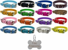 Vibrant Leather Dog Collar for Dogs Puppy & Personalised Engraved Bone Shape Tag