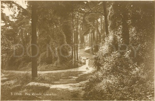 Clevedon vintage postcard - clevedon,