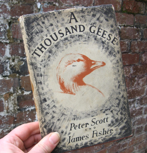 1953 thousand geese - 1953,