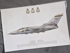 Squadron Print Lightning F.3