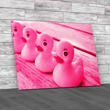 Charming Rubber Ducks For