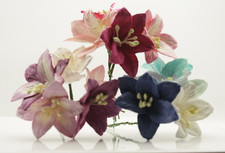 10x Mulberry paper Flowers