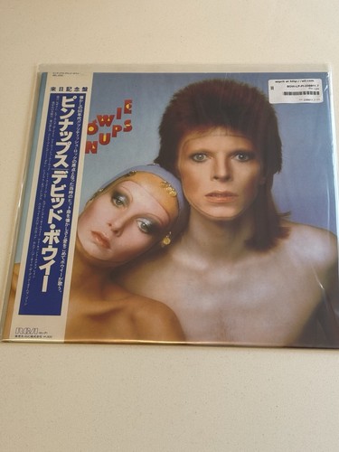 David bowie pin - david,