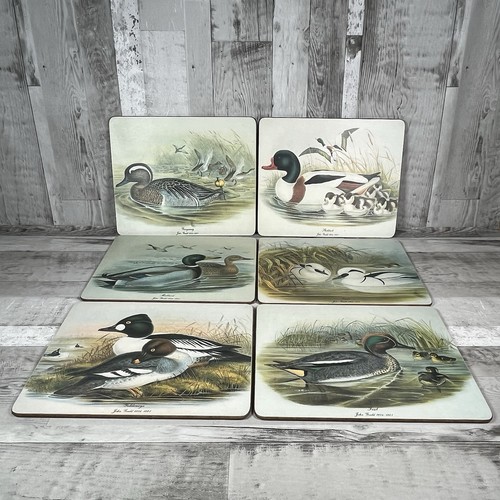 Lady clare melamine placemats - lady,