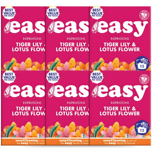 Easy washing powder 13 - 6,