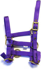 Nylon Foal Headcollar - Purple