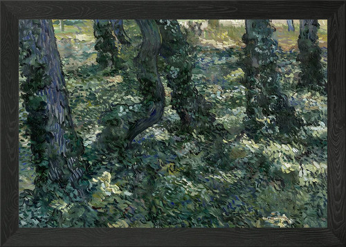 Tree trunks with - tree, framed