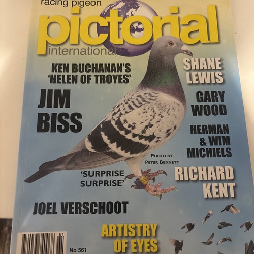 Racing pigeon pictorial - racing,