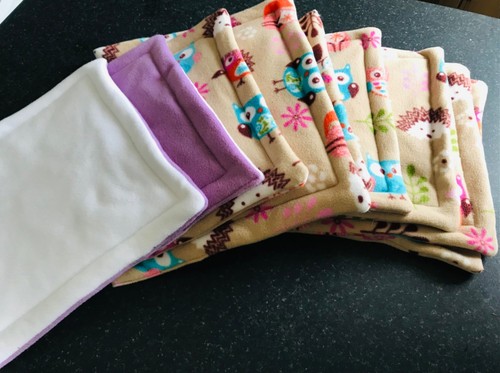 Small pets guinea pigs bundles - pigs,