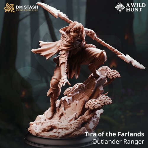 Dungeons dragons elf fighter - &,