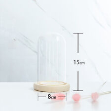 Glass Dome Display Bell Jar
