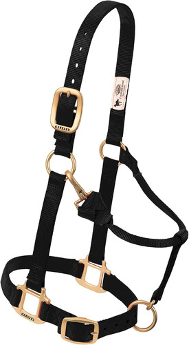 Nylon miniature horse - miniature,