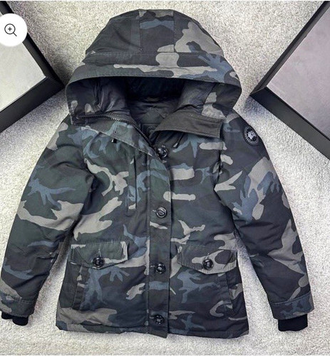Canada goose arctic - canada, program