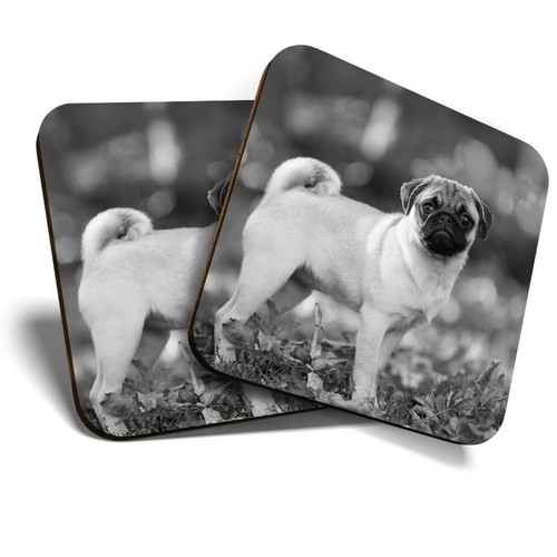 Coasters small pug - (bw),