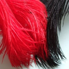 Ostrich Feathers, Herl, Fly