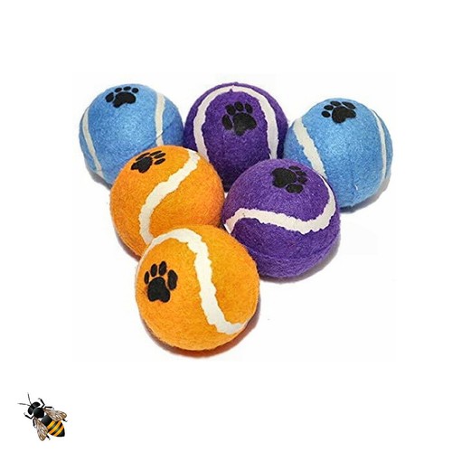 Pack dog tennis balls - dog,