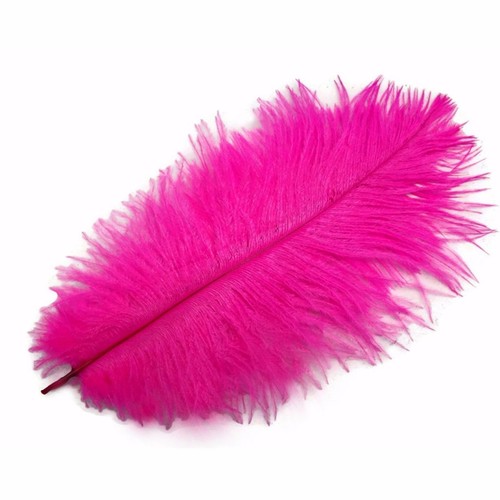 Ostrich feathers hot pink - feathers,