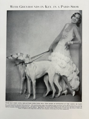 Dora duby greyhound casino - greyhound,